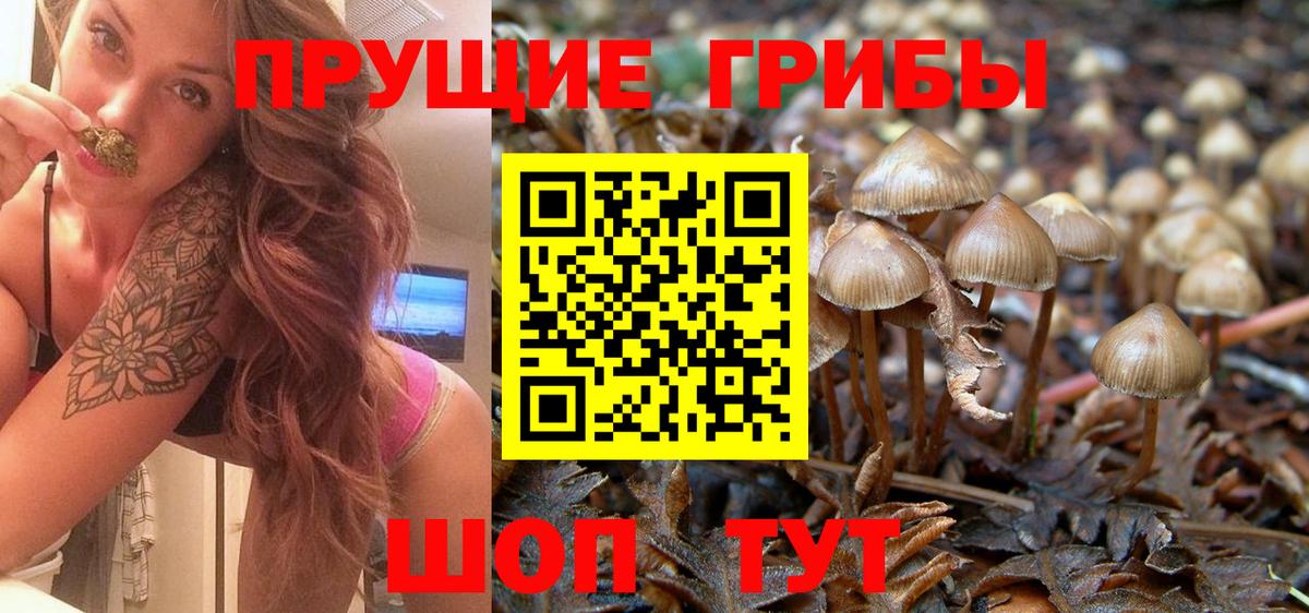 Рассказово  Галлюциногенные грибы мухоморы  Вход с VPN  Галлюциногенные грибы ЛСД 